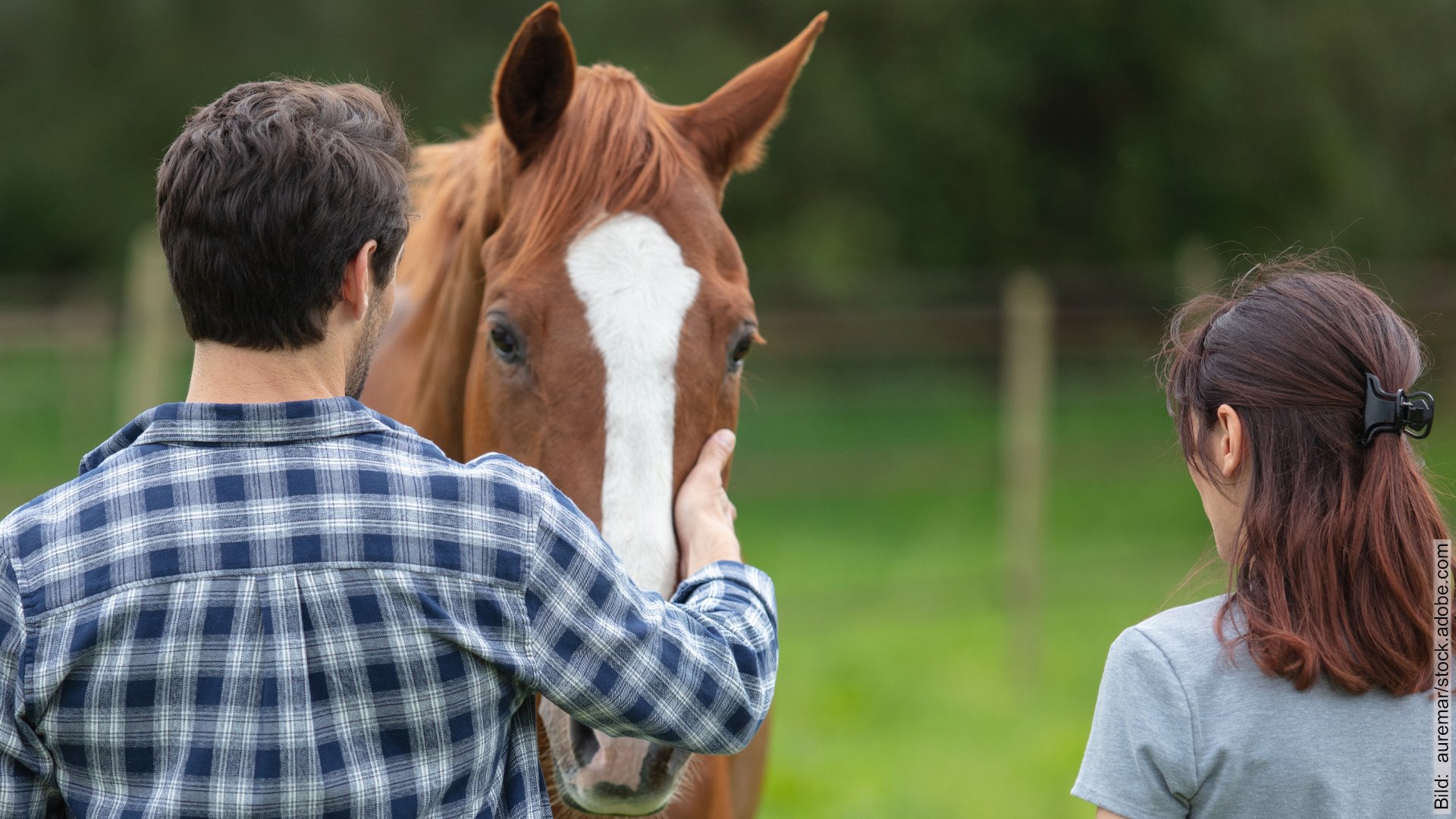 Pferdegestützte Paartherapie. Paar begrüßt ein Therapiepferd auf der Weide.